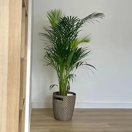 73m2 - 2 - Parking - Wi-fi 아파트 툴루즈