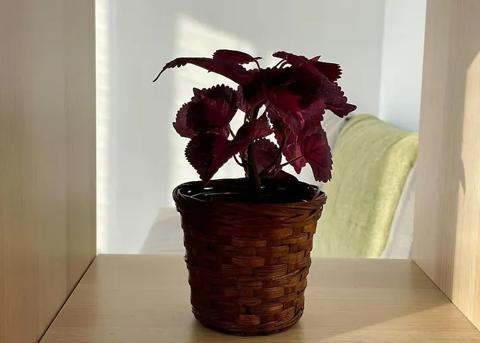 73m2 - 2 - Parking - Wi-fi Appartement Toulouse