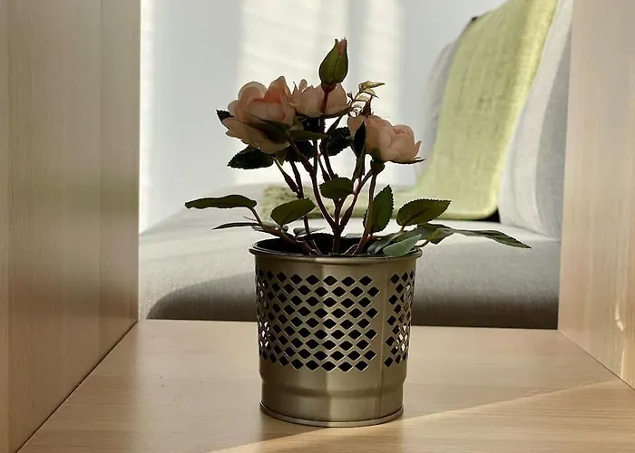 73m2 - 2 - Parking - Wi-fi Daire Toulouse