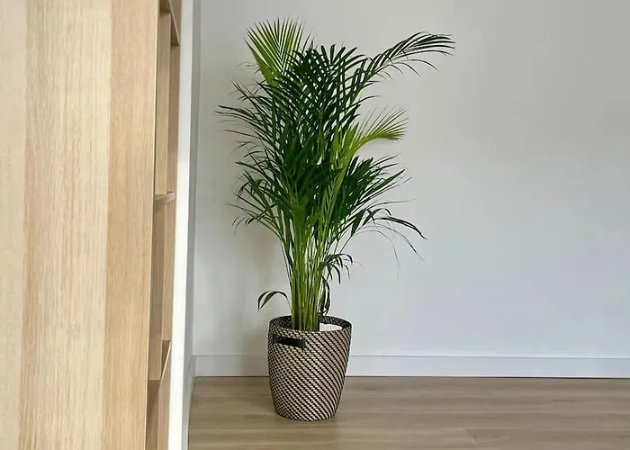 73m2 - 2 - Parking - Wi-fi Appartement Toulouse